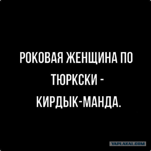 Картинки и всякие жизненные фразы