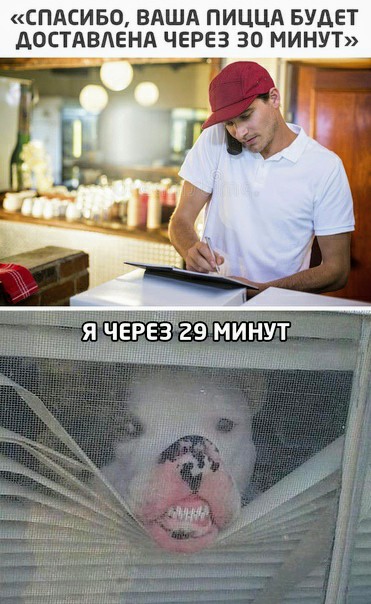 Картинки и мемы для настроения 02.02.2021
