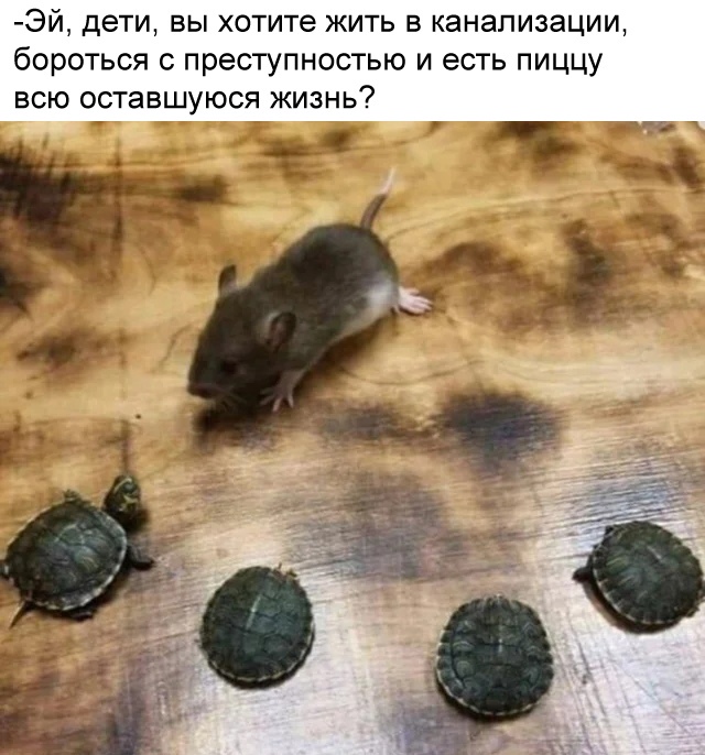 Весёлый полтишок 19.03