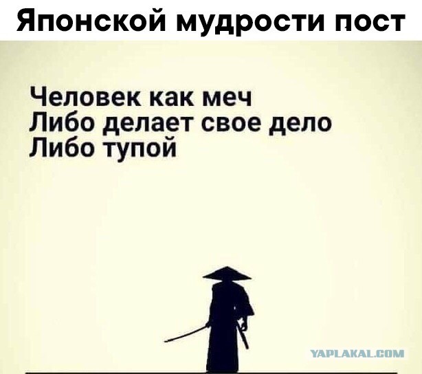Подборка тупого йумора для деградатов