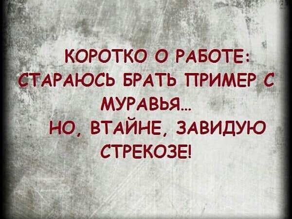 Алкопост выходного дня