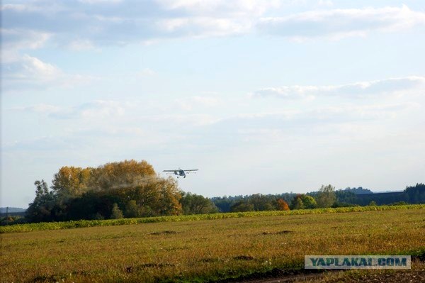 Осень в банках
