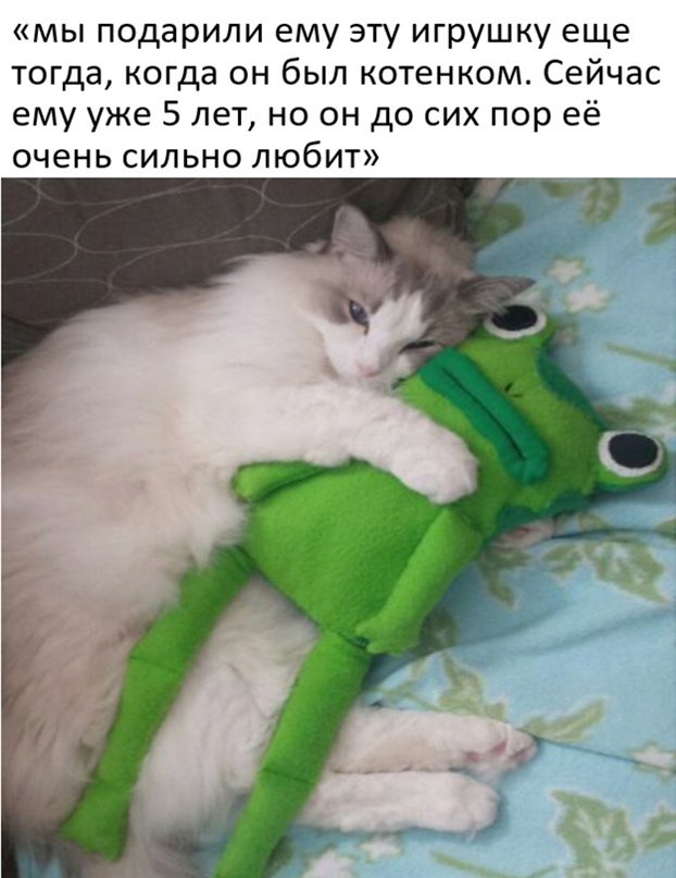 Картинки и мемы для настроения 06.10.2021