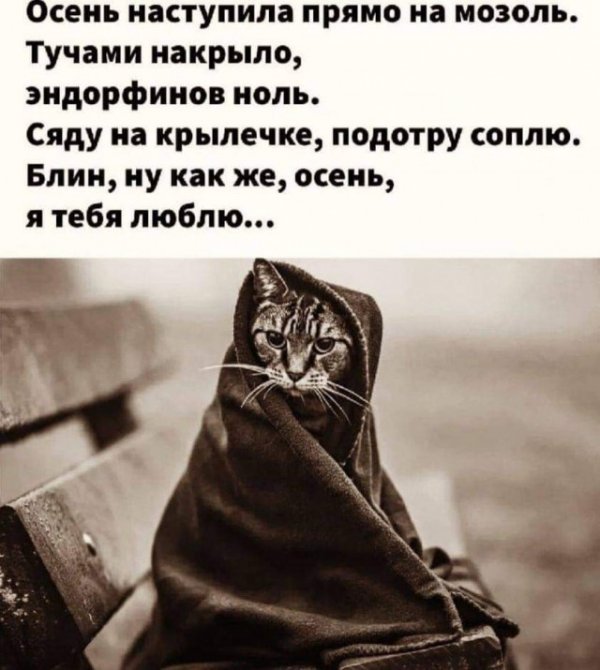 Картинки и мемы для настроения 03.11.2021