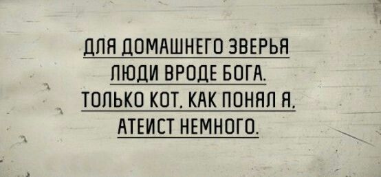 Баянисто-небаянистый юмор 4.03.22