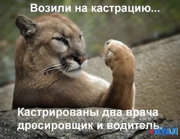 Так себе картинки 15.04.22