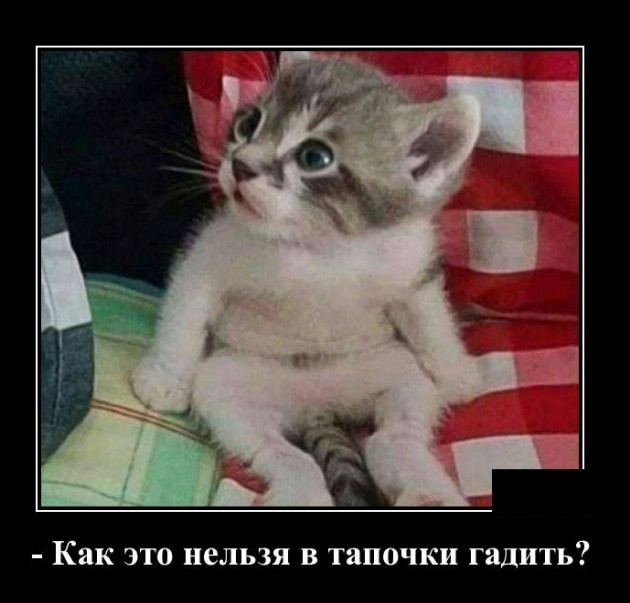 Картинки с надписями 19.07.22