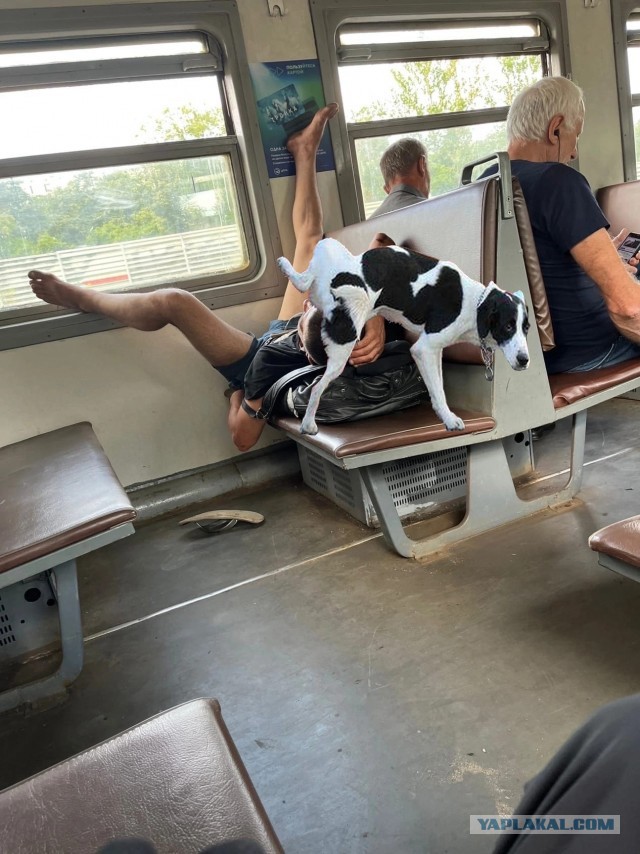 В электричке...
