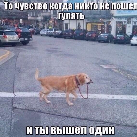 Картинки и мемы, всем хороших выходных