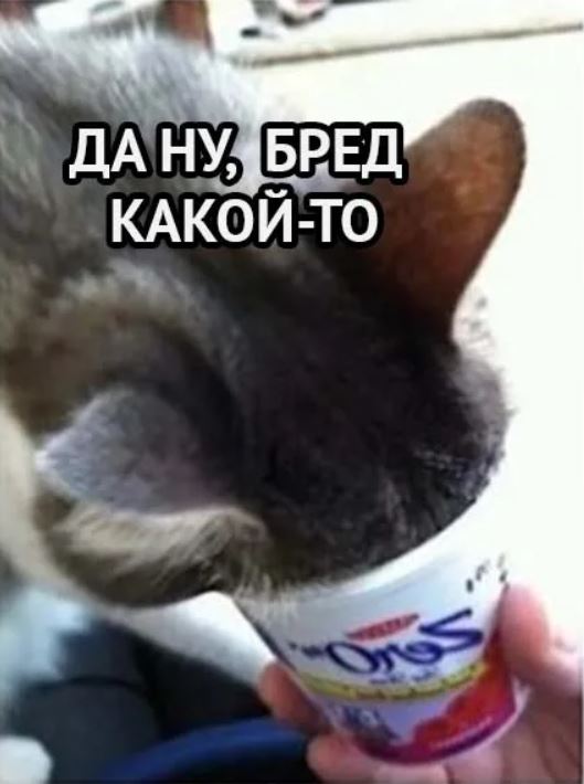 Важно не кто будет президентом, а что он будет делать.