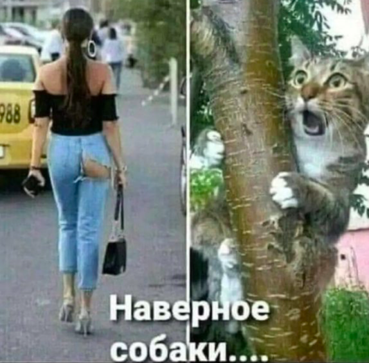 Подборка самых баянистых баянов! Ностальгируем...