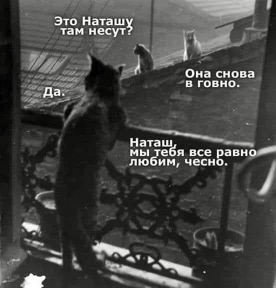Картинки и мемы, всяко разно - 185