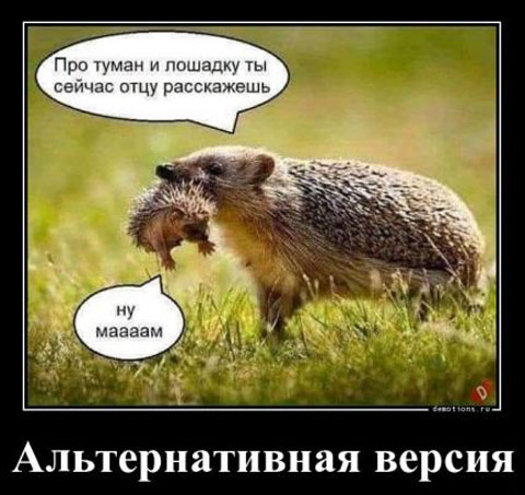 Картинки. В них буквы. Иногда в черной рамке. НЕ эпитафии