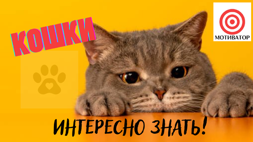 Фразы бабушек, которые надо записывать в "Цитаты великих людей"