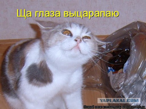 Как потерять друга
