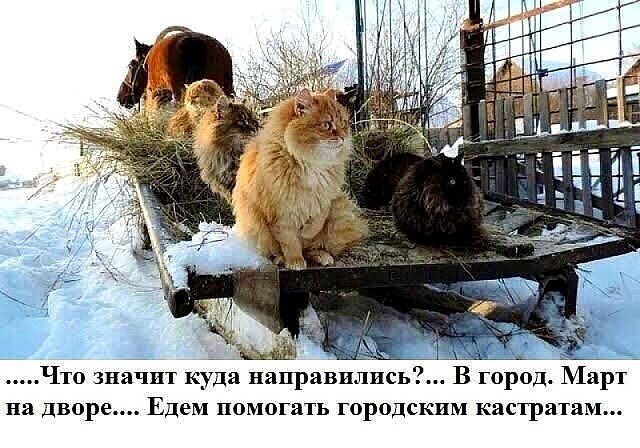 ФотоВинегрет