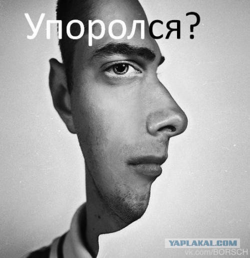 Производители электроники предложили Минцифры запретить параллельный импорт смартфонов и ноутбуков иностранных брендов