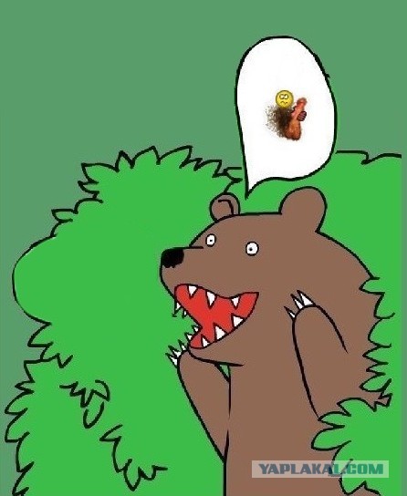 Хорошее вертикальное видео!