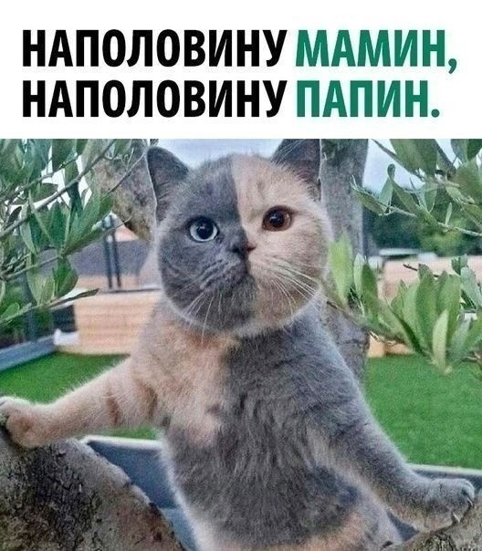 Так себе картинки 24.07.24