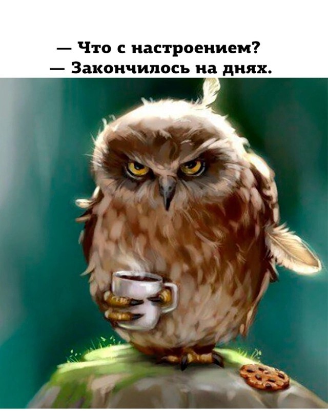 Картинки с текстом для настроения