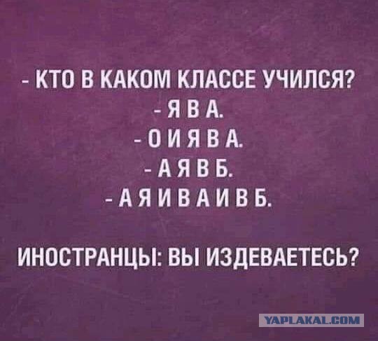 Веселое настроение в картинках (28.09.2025)