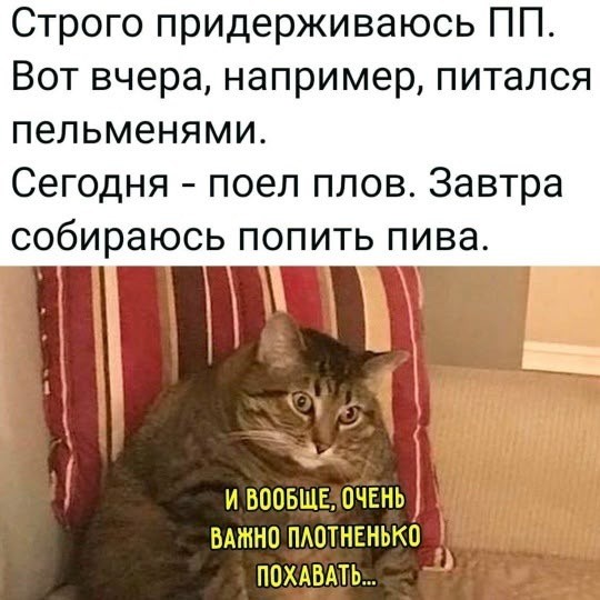 Картинки для деградации 100 (разной степени свежести)