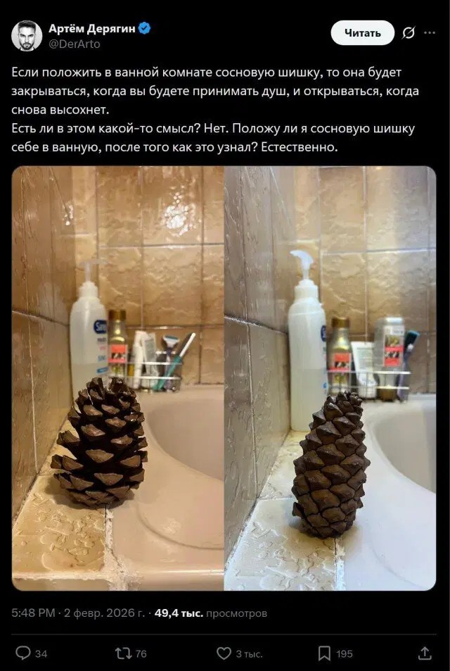 Мемчики и картинки для настроения