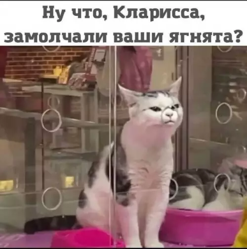 Картиночки, баянчики 20 февраля