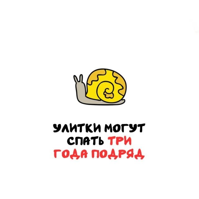 Интересные и короткие факты на все случаи жизни 19.04.26