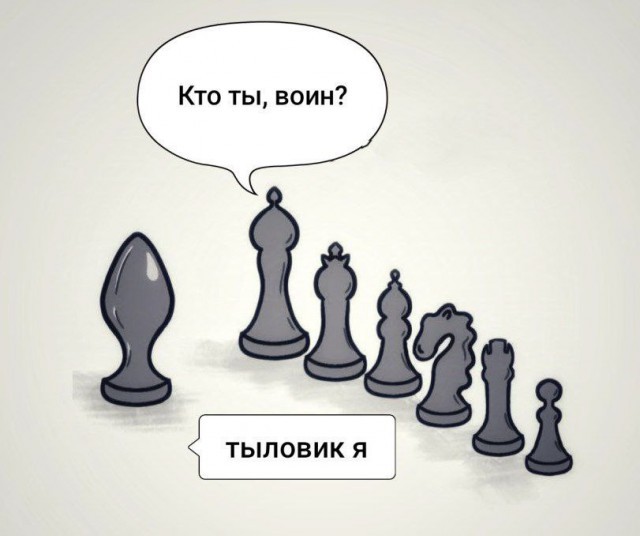 Бывший заместитель главы правительства Подмосковья Илья Бронштейн ушел на СВО