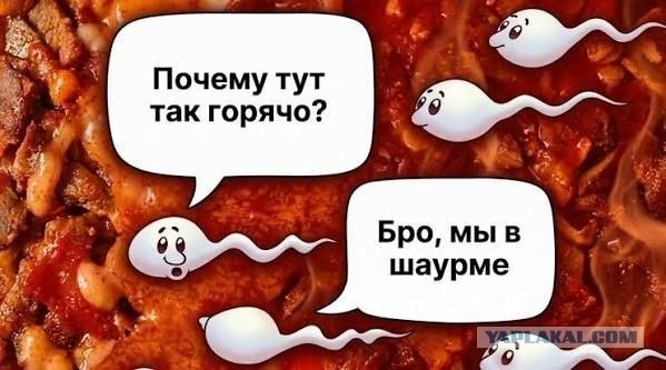 А что вы можете?