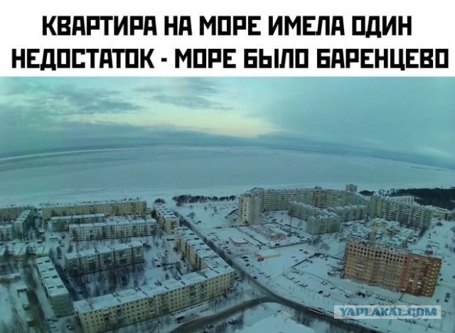 Картинки для настроения