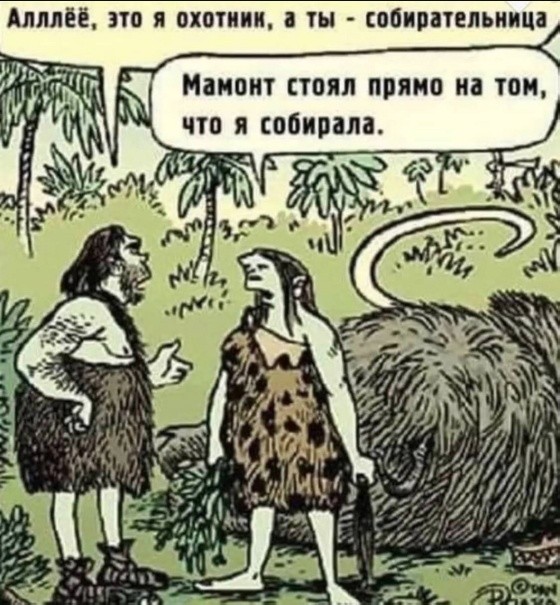 Картинки для деградации 248 (разной степени свежести)