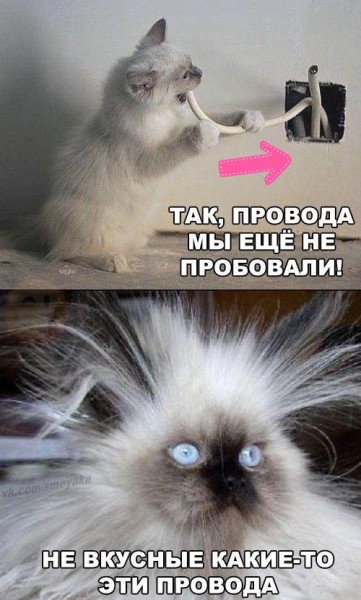 К дню ВДВ