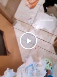 Как живём?