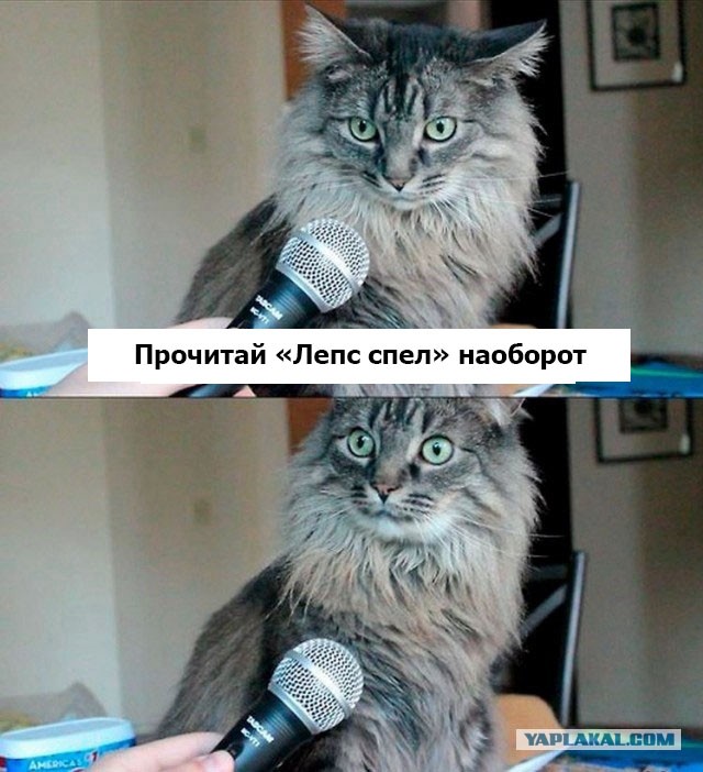 Вот это поворот!