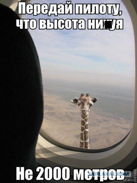 Комментарии из социальных сетей