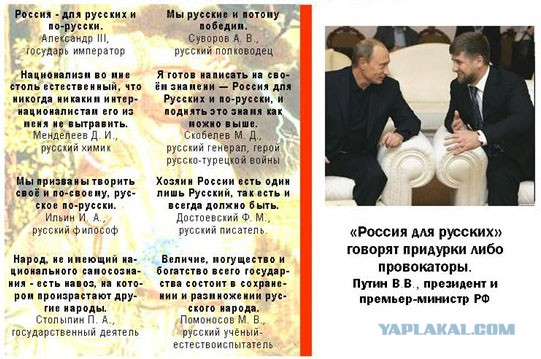 Толерантность...