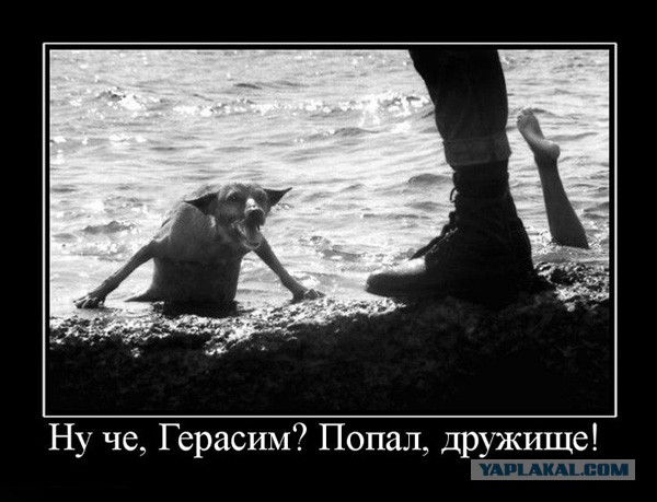 Подборка смешных картинок :)