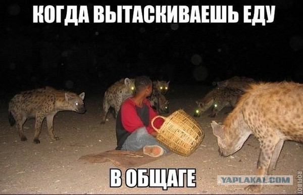 Демотиваторов пост, добавляйте свои