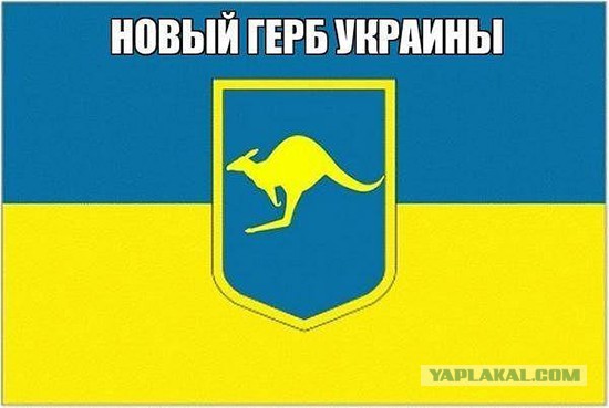 Киев возле администрации президента.17.09.2014