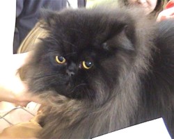 Называется съездил на дачу