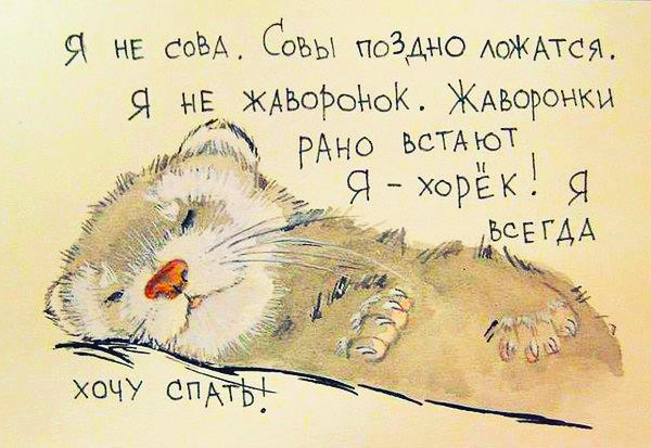 Немного картинок и юмора
