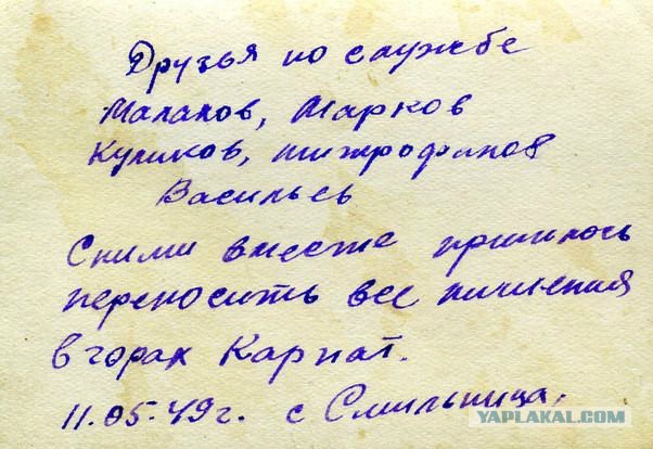 Охотники на бандерлогов