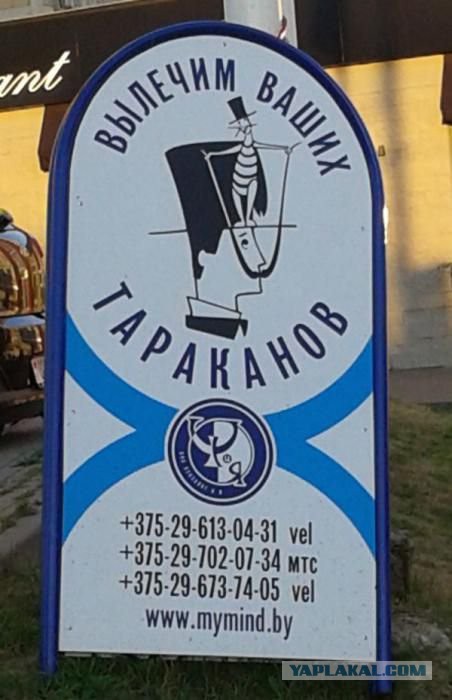 Весёлое из сети