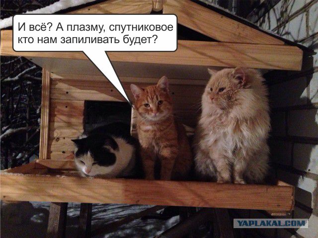 Зима, КотЭдж.