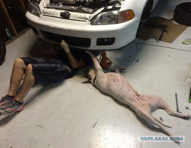 Смешные картинки