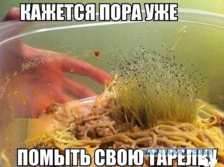 Эх, уже не терпится..грибочки!