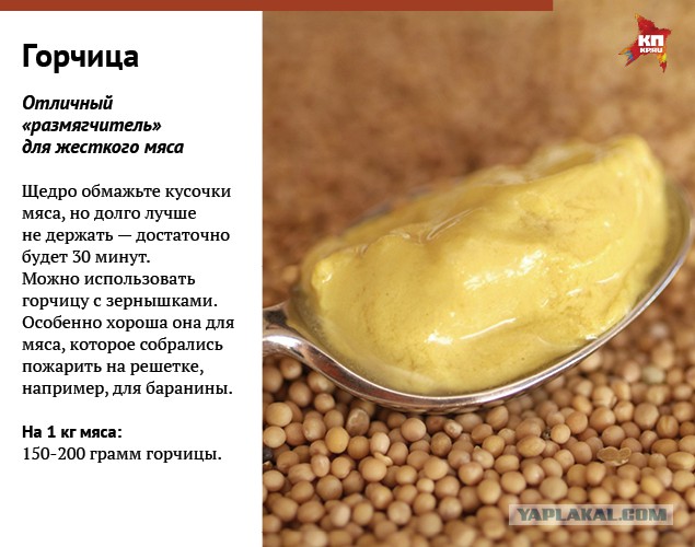 Шашлык, рецепты маринада, все про шашлык!