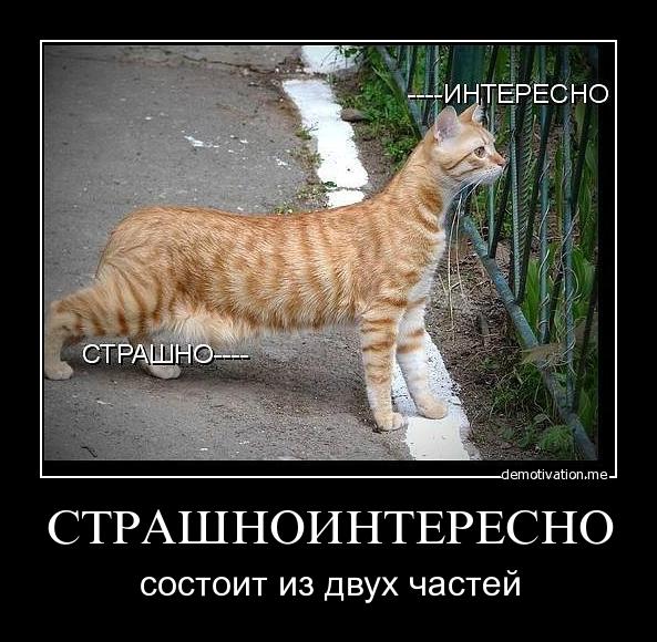 Вы хотите "демов"? часть 2-я